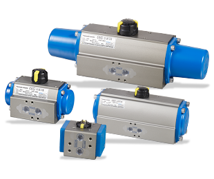 Pneumatic actuator