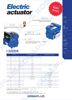 Electric actuator user manual