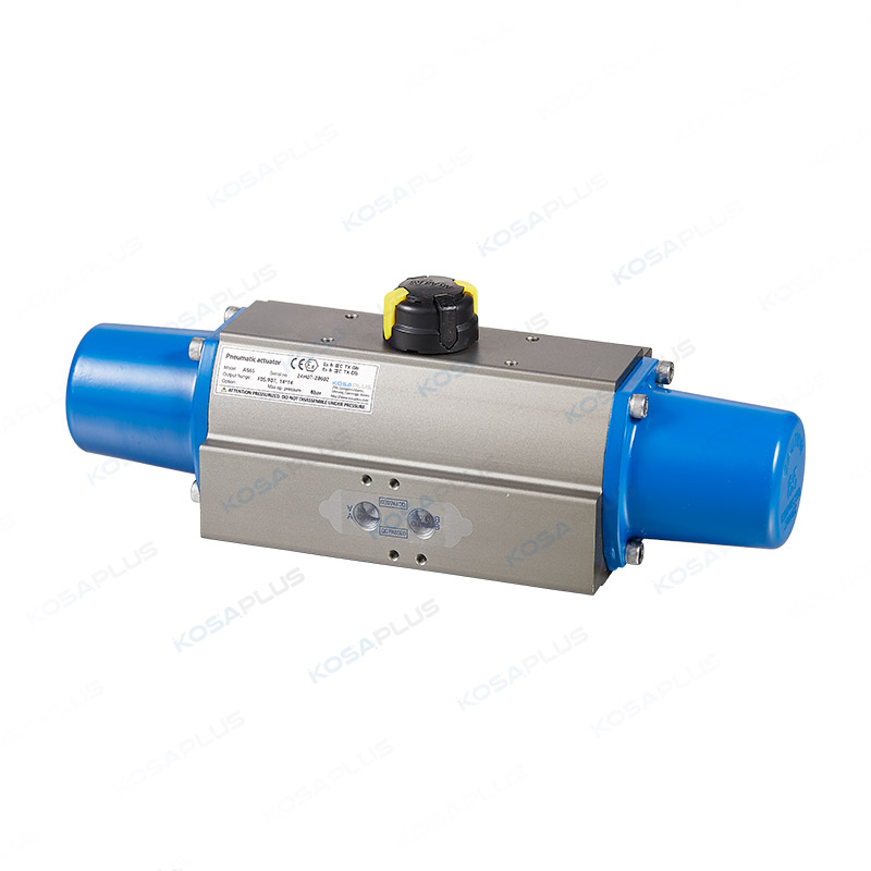 Pneumatic actuator