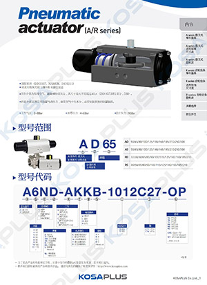 Pneumatic actuator user manual